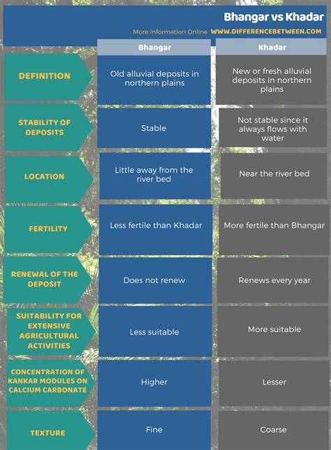 Difference Between Bhangar and Khadar | Compare the Difference Between Similar Terms