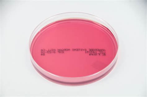 Enriched Tryptic Soy Agar - ETSA - Anaerobe Systems