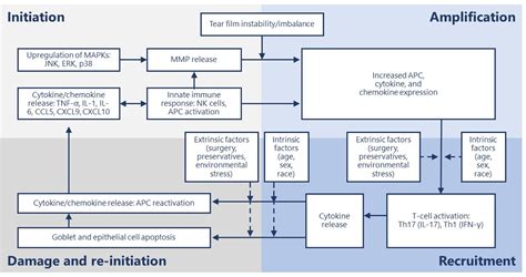 Figure 1 from A Review of the Mechanism of Action of Cyclosporine A: The Role of Cyclosporine A ...