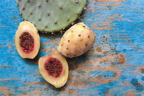 Explore Some Mind-blowing Health Benefits of Nopal Cactus