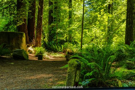 Redwood National & State Parks Campgrounds - National Parked