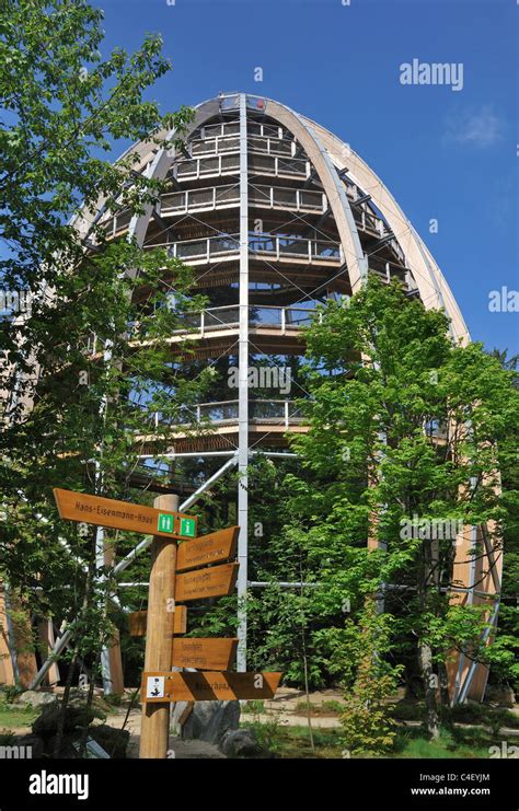 Baumwipfelpfad, a wooden tower construction of the world´s longest tree top walk in the Bavarian ...