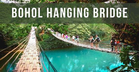 Bamboo Hanging Bridge, Bohol - what you need to know - Daily Travel Pill