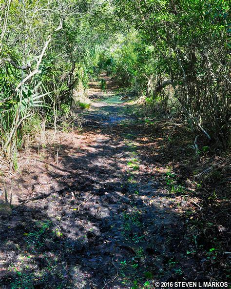 Cumberland Island National Seashore | DUCK HOUSE TRAIL TO THE BEACH