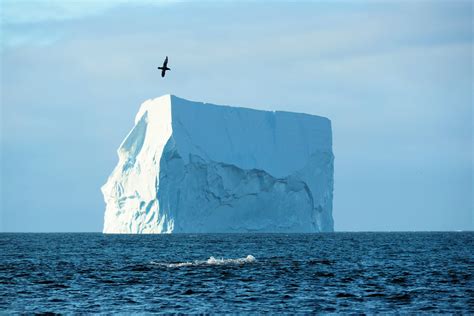 ANTARCTICA. Ice desert – Kraków Airport Blog