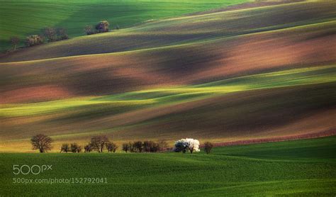 Flowering Moravia | Landscape, Moravia, Nature