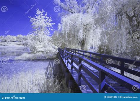 Park stock image. Image of lake, bank, water, reflection - 48681887