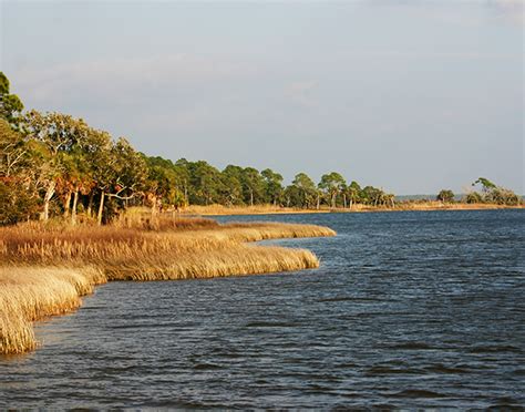 Apalachicola River - Habitat and Management | FWC