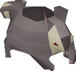 Black chinchompa (Hunter) | 2007scape Wiki | Fandom powered by Wikia