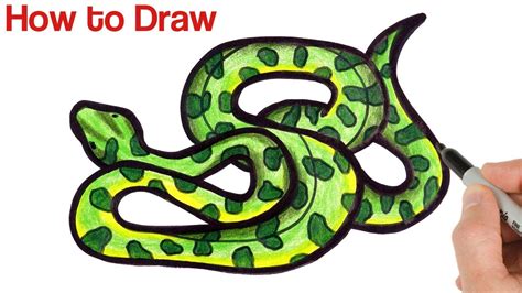 How to Draw Anaconda Python Snake | Easy Animals Drawings - YouTube