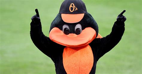 Orioles' Mascot Is MLB's 5th Best, According To Fan Survey - CBS Baltimore