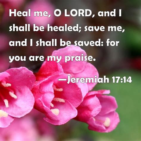 Jeremiah 17:14 Heal me, O LORD, and I shall be healed; save me, and I shall be saved: for you ...