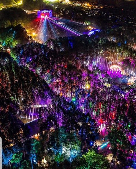 Electric forest, rothbury Michigan | Electric forest festival, Forest ...