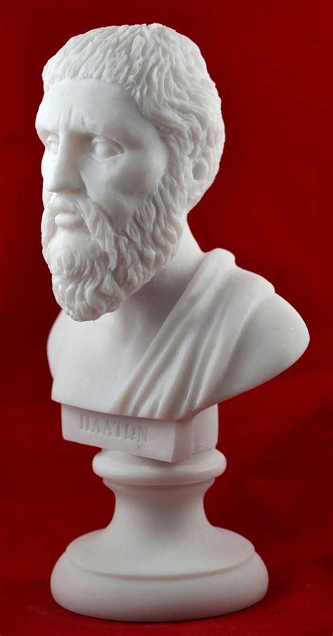 Plato Bust Greek Statue White NEW Free Shipping Tracking - Etsy