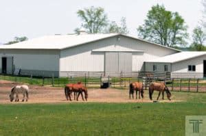 Prefabricated Metal Horse Barns - Titan Steel Structures