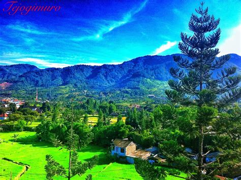 Puncak, Cisarua, Bogor, Indonesia | West java, Natural landmarks, Favorite places