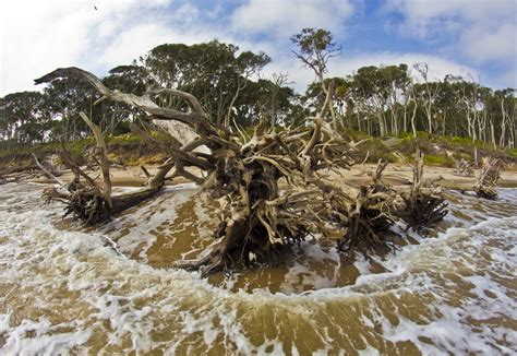 Big talbot island - james grosser | Earth, Nature, Outdoor