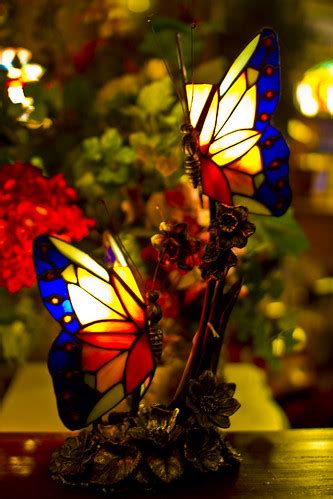 Tiffany Lamp Collection | Tiffany Lamp Collection | Flickr