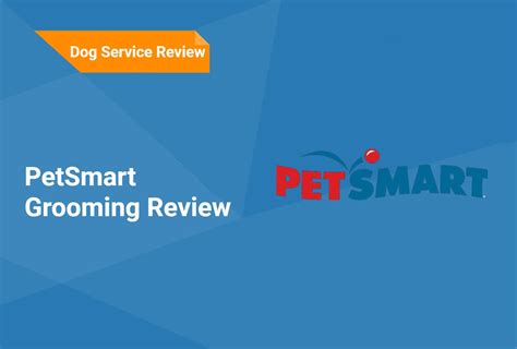 PetSmart Grooming Review 2024: Info, FAQ & More | Hepper