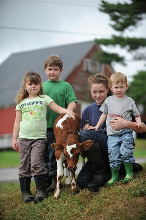 Daily Life On An Organic Dairy Farm Photograph by Brian Fitzgerald - Fine Art America