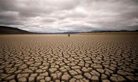 Drought, the killer of millions in Africa - GulfToday