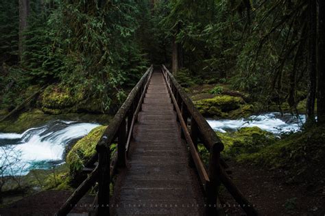 The Bagby Hot Springs in Oregon is The Perfect Getaway | That Oregon Life