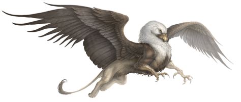 Download Free Griffin PNG Transparent Image