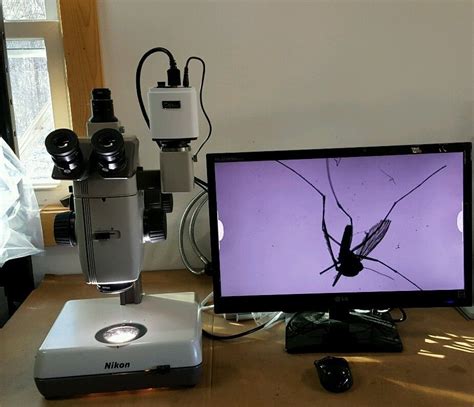 Nikon Microscope SMZ-U with Illuminated Base and Camera - NC | SC | VA | MD