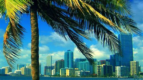 Miami Skyline HD Wallpapers - Wallpaper Cave