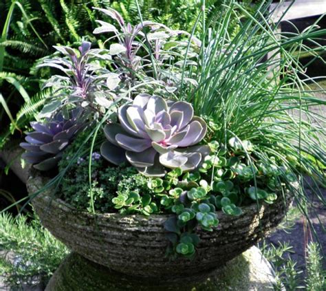 Container Gardening With Herbs – The Basics | Oak Street Garden Shop and Local Market