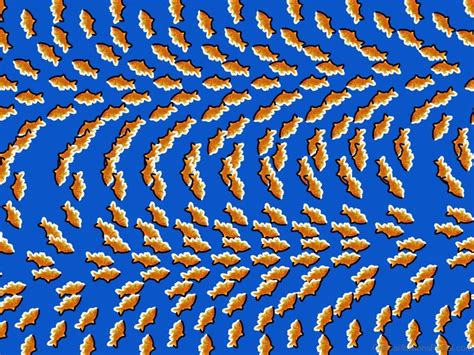 50 Nice Stereogram Illusion