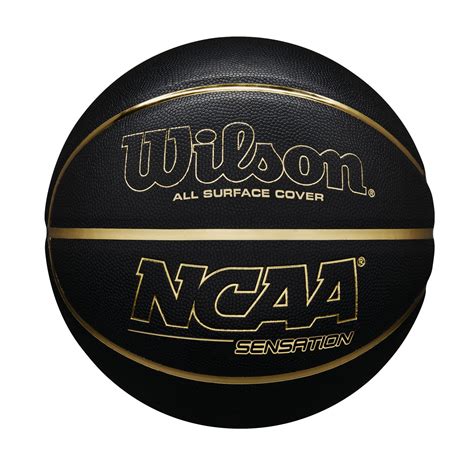 Wilson Evolution Black Edition Basketball 29.5 Official Size Baloncesto educators Balones