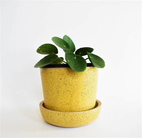 Simple Dandelion Stoneware Planter Set | Available on Made Trade – Made Trade | Yellow planter ...