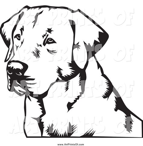 Black Lab Vector at GetDrawings | Free download