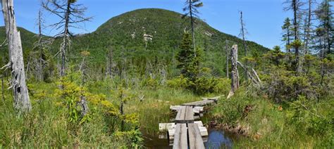 Hiking Cannon Mountain, A Hidden New Hampshire Gem