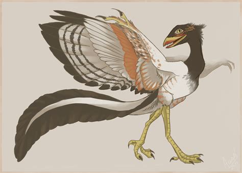 Archaeopteryx by Nothofagus-obliqua on DeviantArt