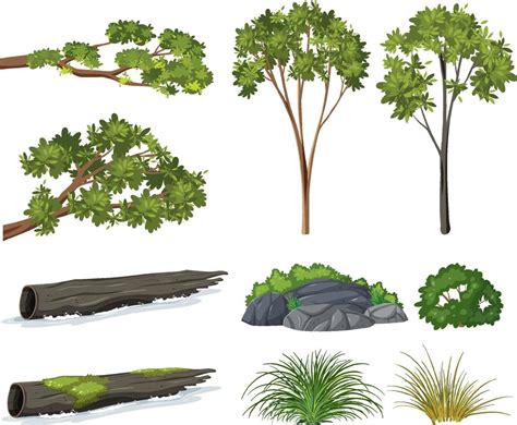 Isolated trees and nature objects set 7585528 Vector Art at Vecteezy