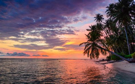 the sun is setting over an ocean with palm trees