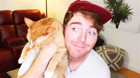 What did Shane Dawson do to his cat? - ABTC