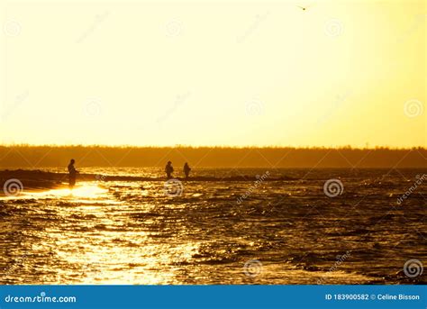 Silhouette of a Couple on the Beach at Sunset Stock Photo - Image of silhouette, caribbeans ...