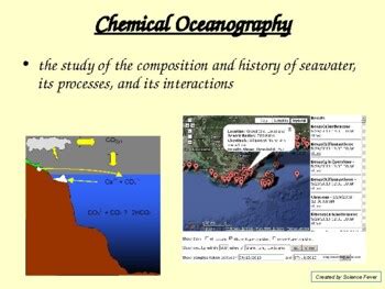 Branches of Oceanography Notes by Science Fever | TpT