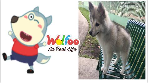 Wolfoo: All Cartoon Characters In Real Life - YouTube