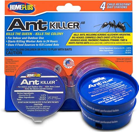 Top 8 Flying Ants In The House And Now Gone - The Best Choice