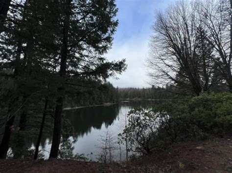 Best Hikes and Trails in Lake Siskiyou (Siskiyou County Flood Control District) | AllTrails