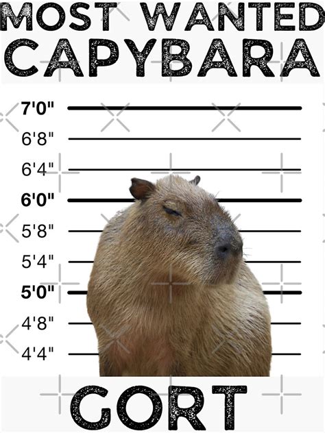 "Gort Wanted Poster Capybara Committing Crimes Capy Mugshot" Sticker for Sale by ScienceLover21 ...