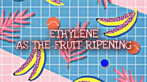 Experiment Ethylene: Ripening of Banana - YouTube