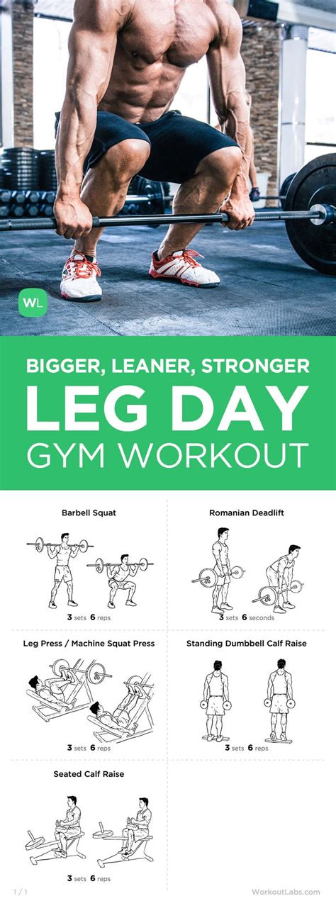 Mike Matthews Bigger Leaner Stronger Leg Day Workout for Men | Workout ...