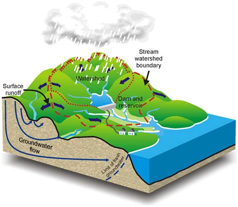 What is a watershed? | South East Alberta Watershed Alliance