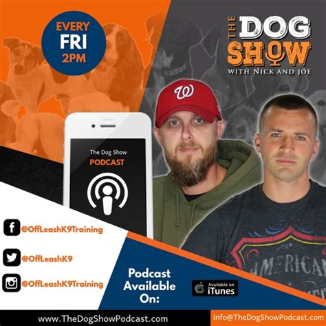 The Dog Show with Nick and Joe | Listen Free on Castbox.