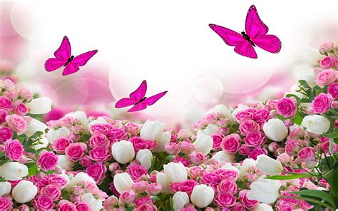 HD wallpaper: Flower Bouquet White And Pink Roses And Flying Butterflies Hd Wallpaper Download ...